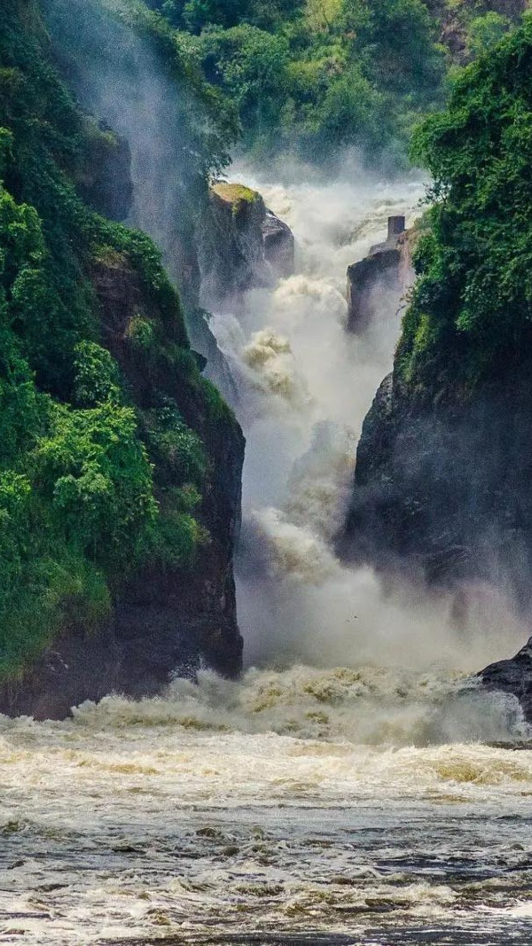 Top African Safari Tours: Pumba Adventures