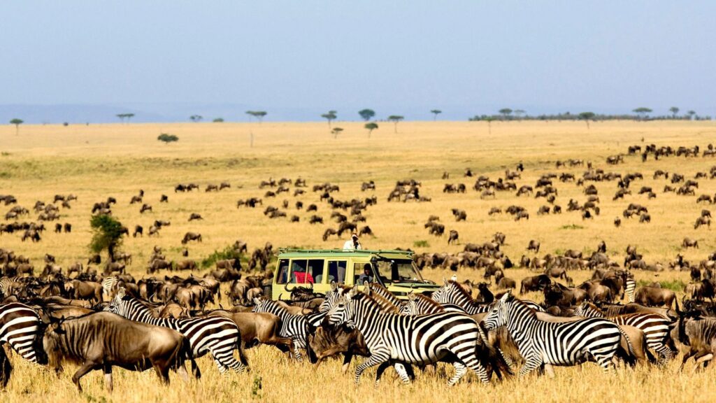 Kidepo Valley National Park