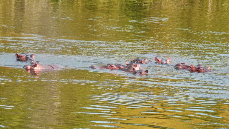 Lake Mburo National Park (2)