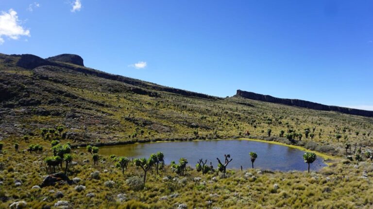 Mt. Elgon National Park (2)