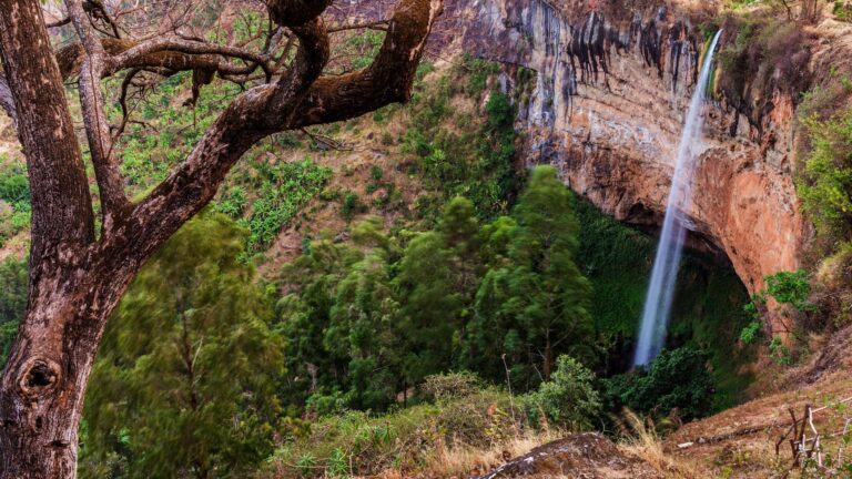 Mt. Elgon National Park (3)