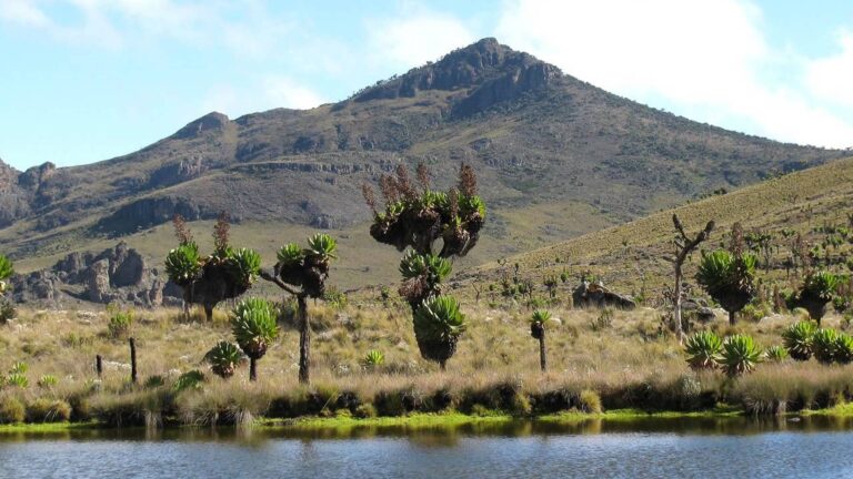 Mt. Elgon National Park (4)