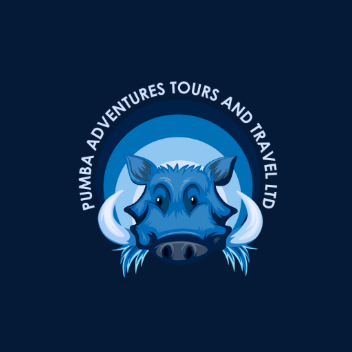 Top African Safari Tours