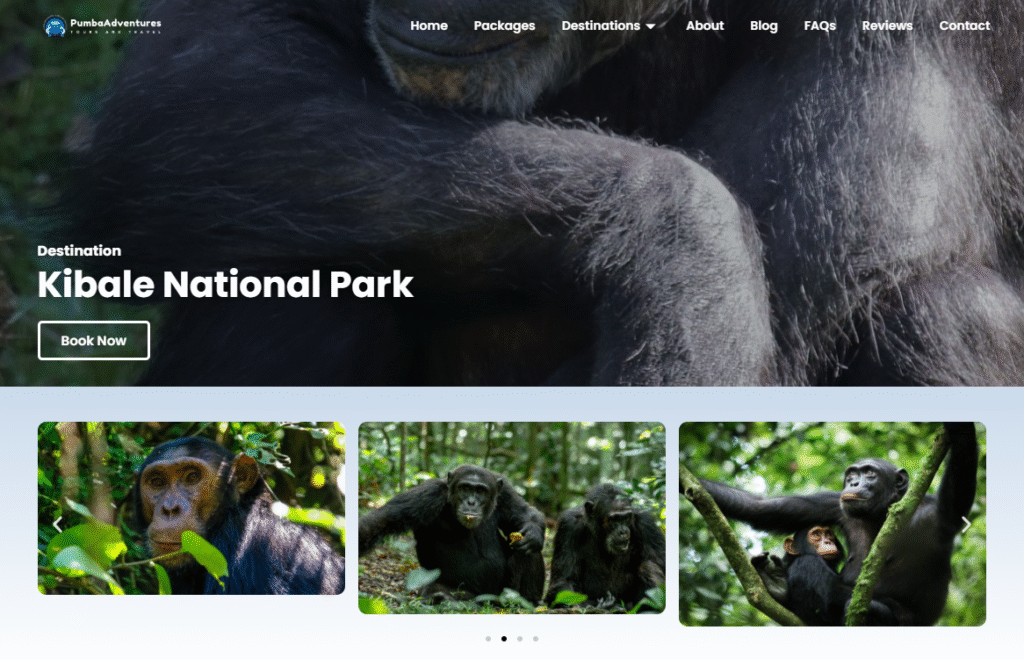 kibale national park