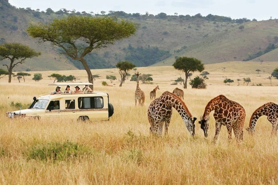 East African Safari Tours