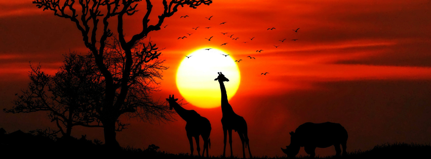 Now Is the Best Time to Visit Africa