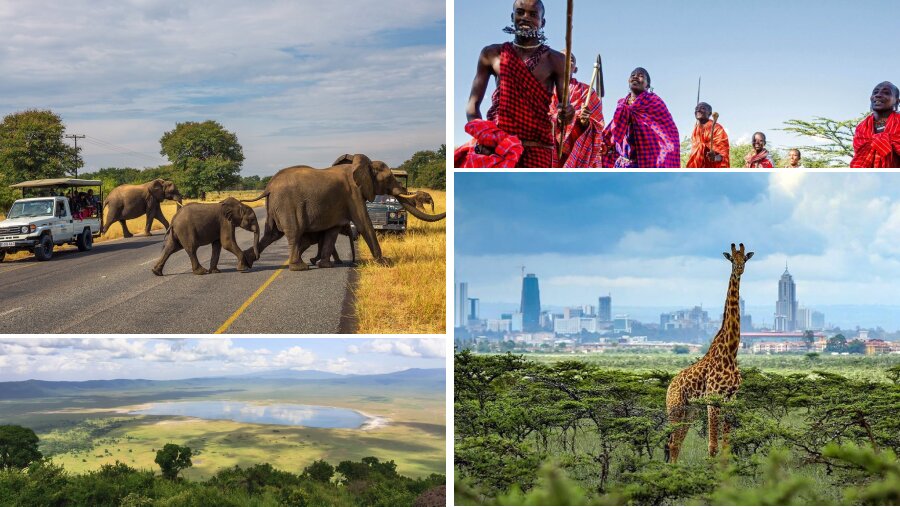 Kenya vs Tanzania Safari