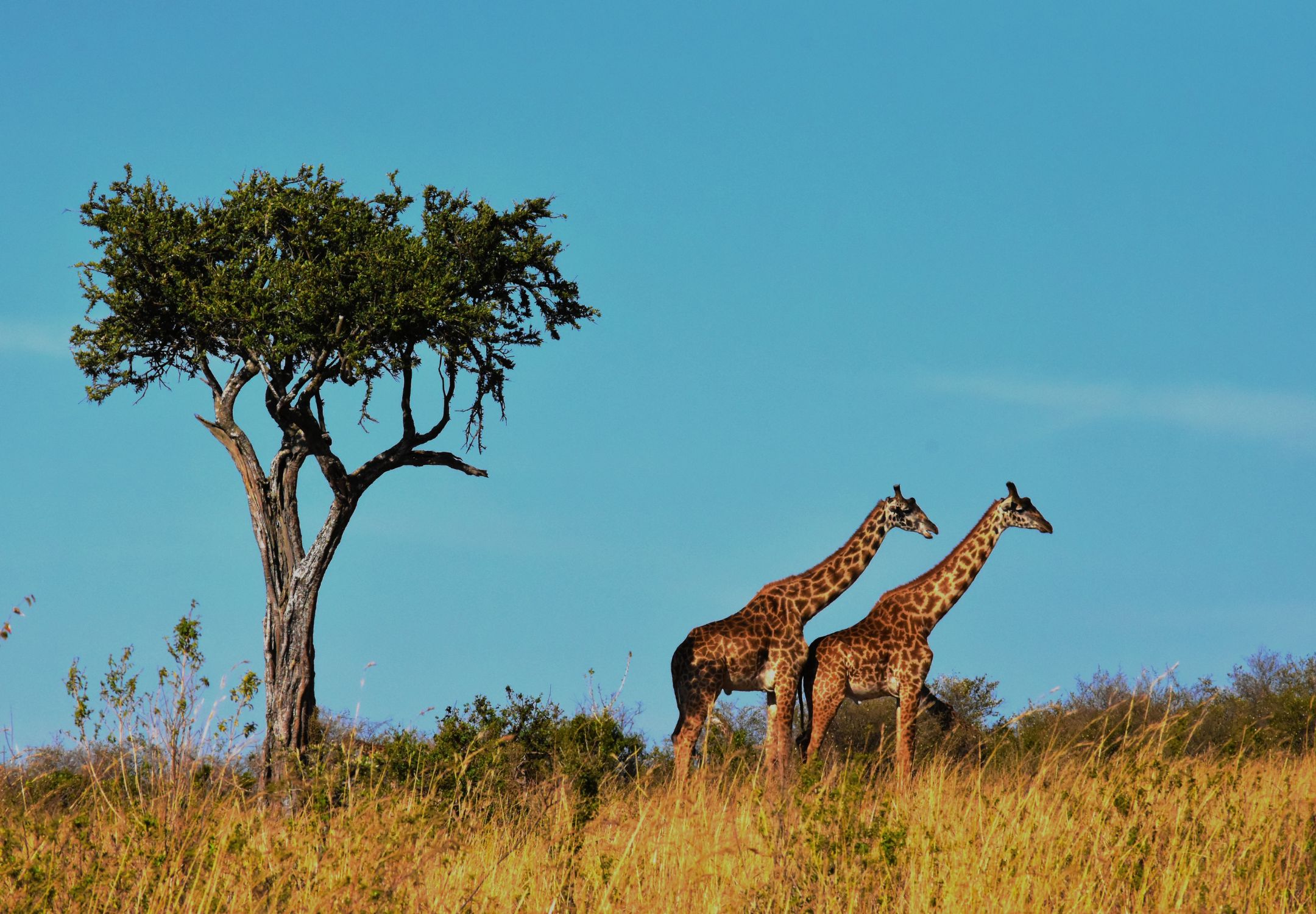 Hidden Treasures of East Africa