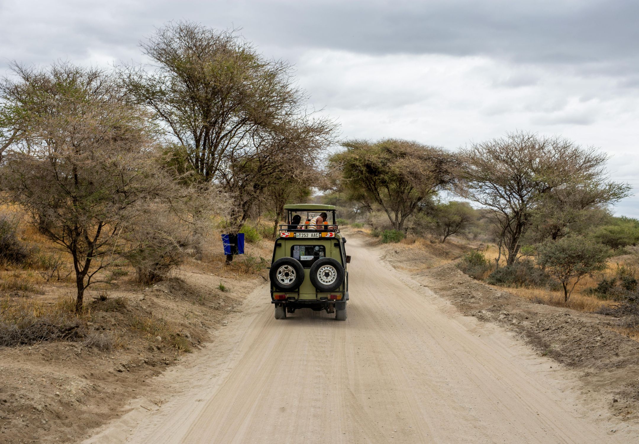 Make Your Safari Sustainable