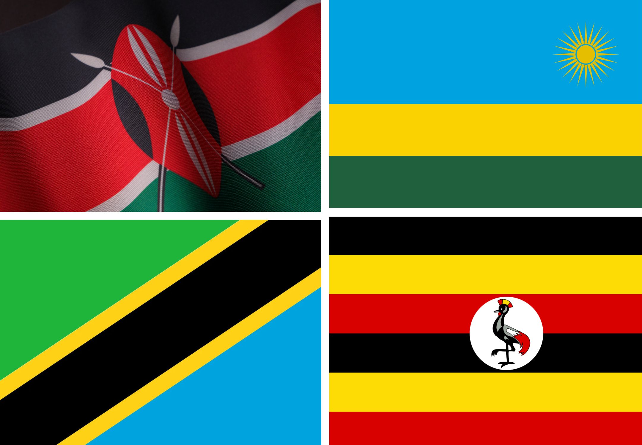 Multi-Country Safari Itineraries