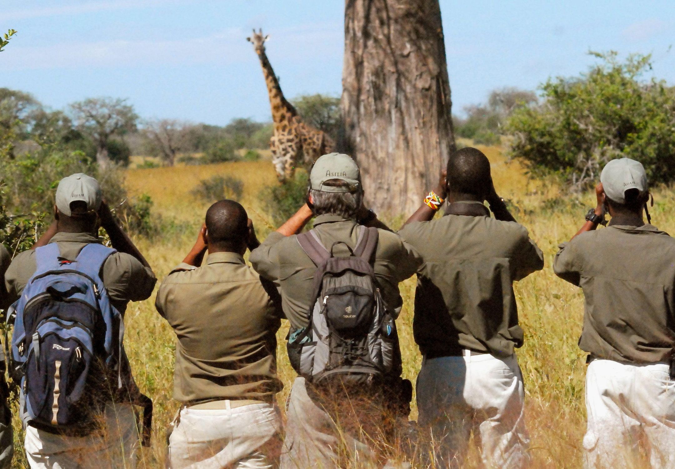 Seasonal Safari Guide