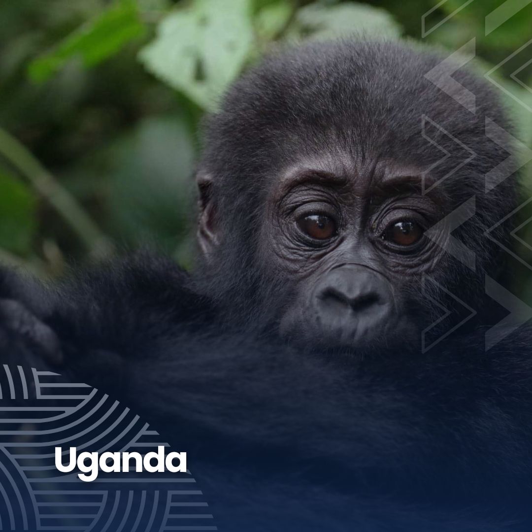 Uganda Destination